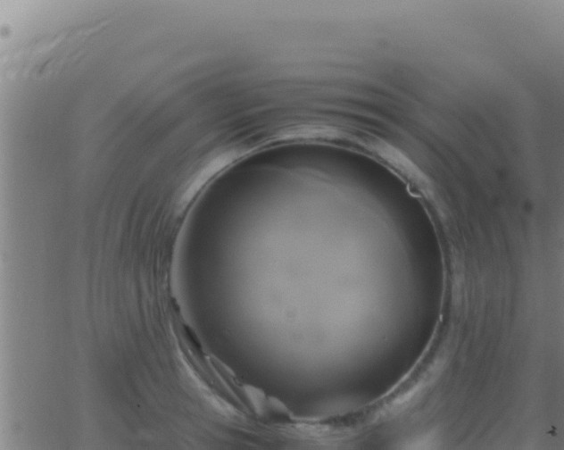 X0000062930945200601202023