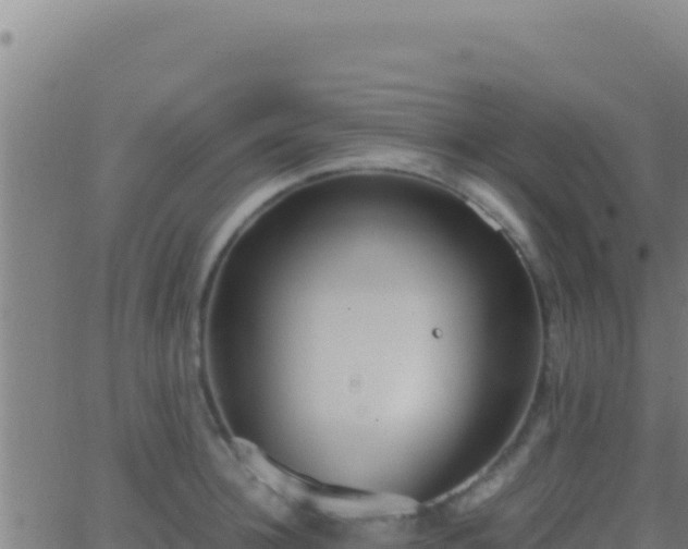 X0000062930948200601202023