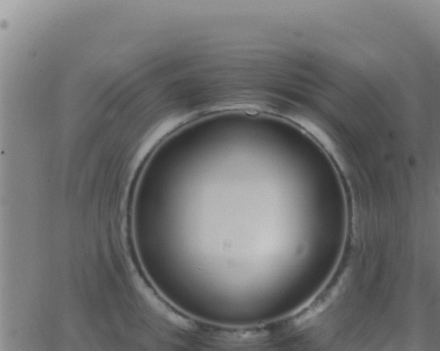 X0000062930949200601202023