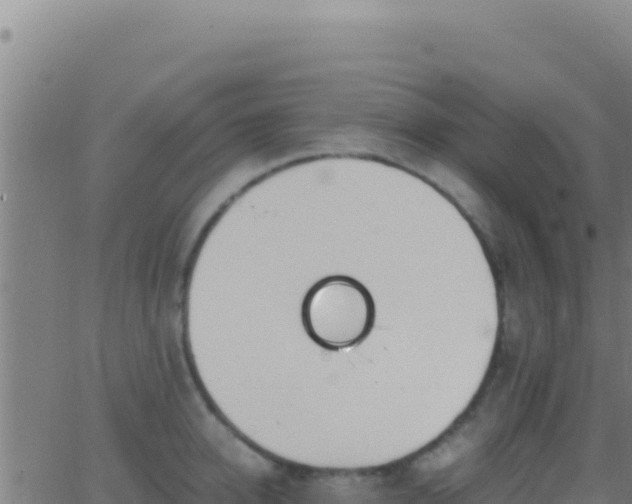 X0000062930950200601202023