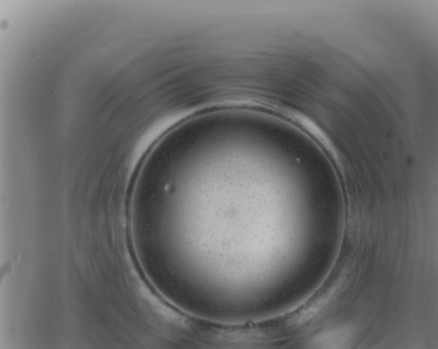 X0000062930951200601202023