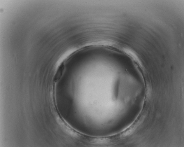 X0000062930952200601202023