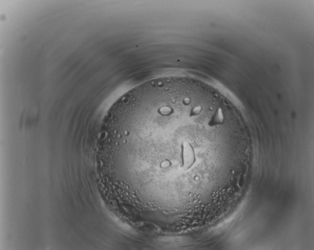 X0000062930953200601202023