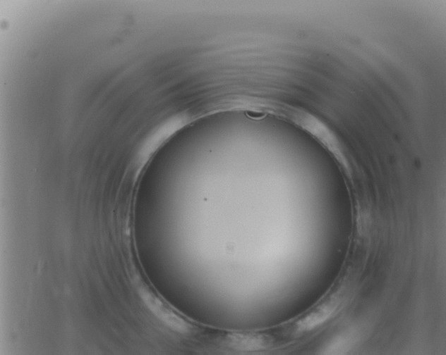 X0000062930954200601202023