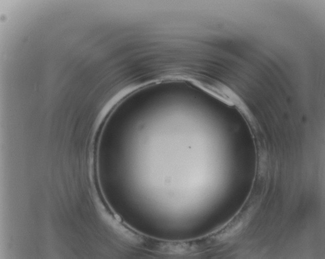 X0000062930955200601202023