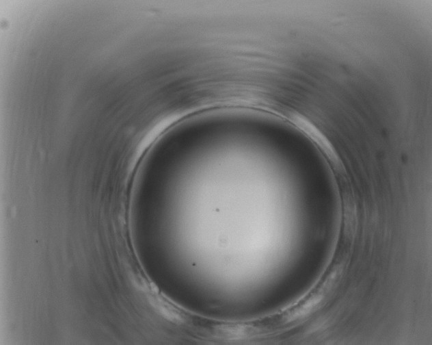 X0000062930956200601202023