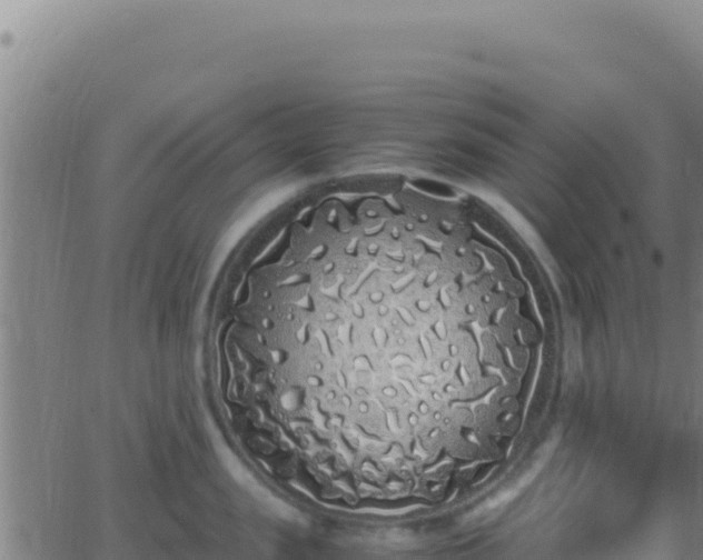 X0000062930957200601202023