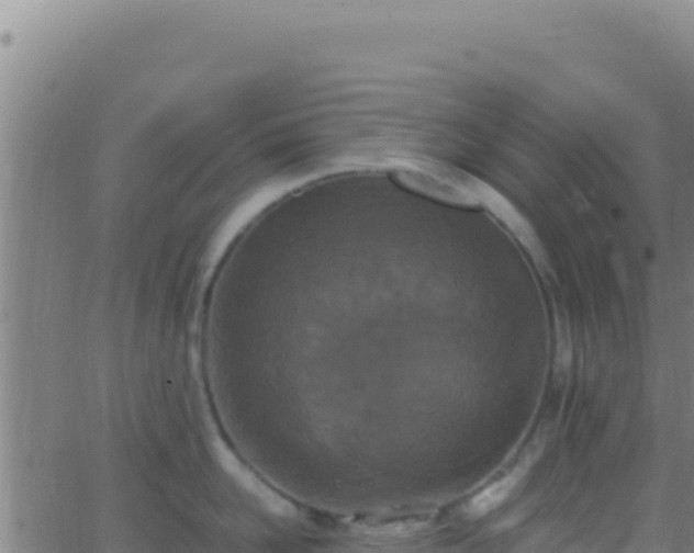 X0000062930958200601202023