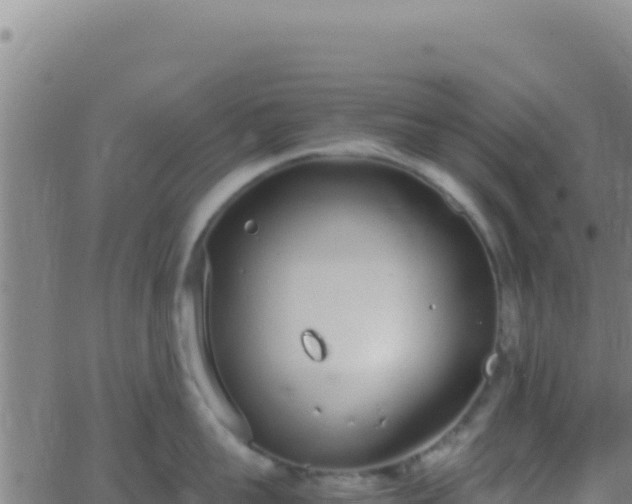 X0000062930959200601202023