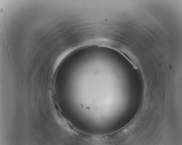 X0000062930960200601202023