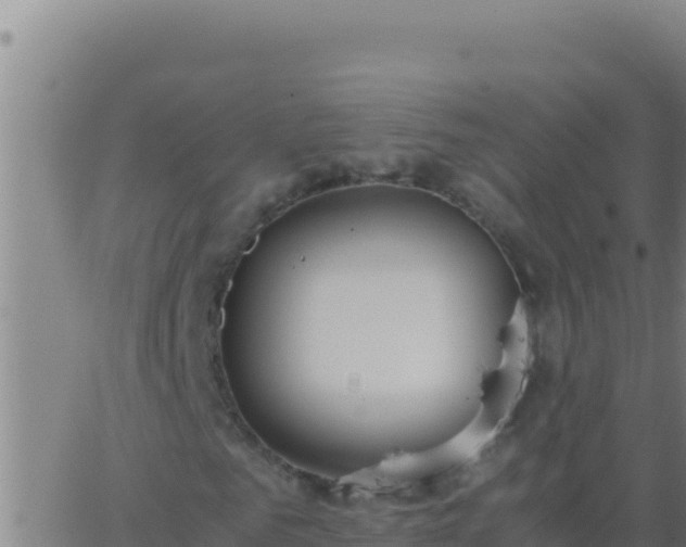 X0000062930961200601202023