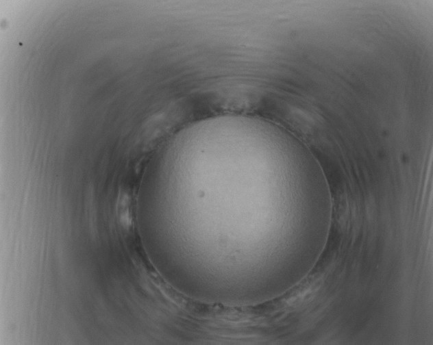 X0000062930962200601202023