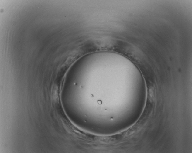 X0000062930963200601202023