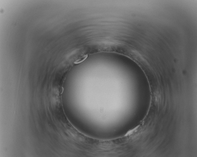 X0000062930964200601202023