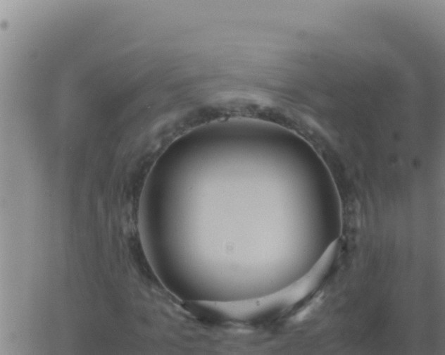 X0000062930965200601202023