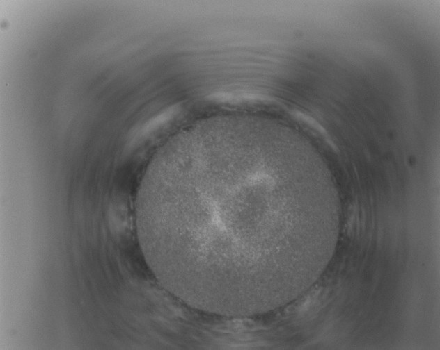 X0000062930966200601202023