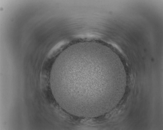 X0000062930967200601202023