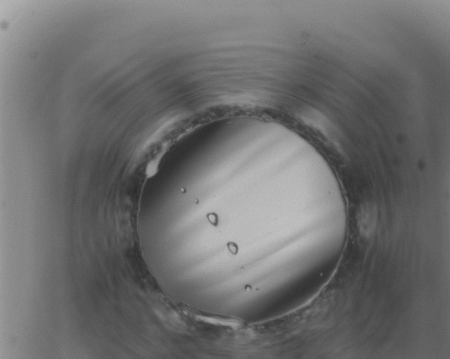 X0000062930968200601202022