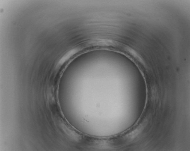 X0000062930970200601202022