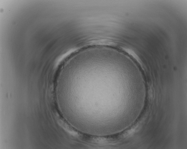 X0000062930971200601202022