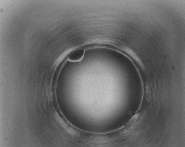 X0000062930972200601202022