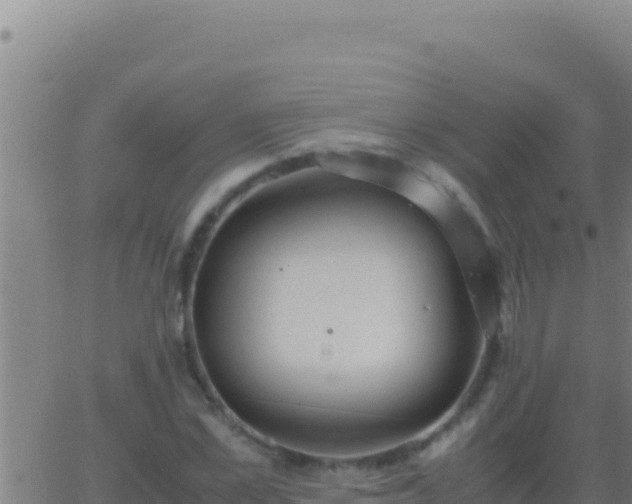 X0000062930973200601202022