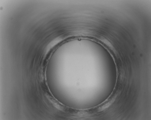 X0000062930974200601202022