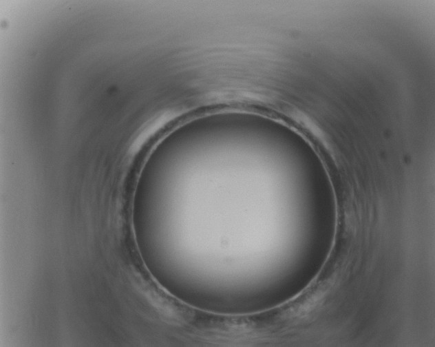 X0000062930975200601202022