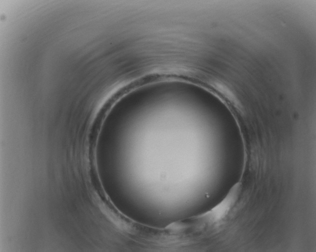 X0000062930976200601202022