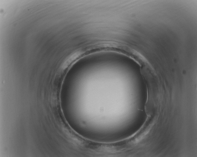 X0000062930977200601202022