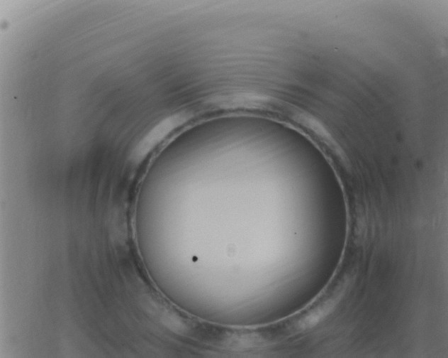 X0000062930978200601202022