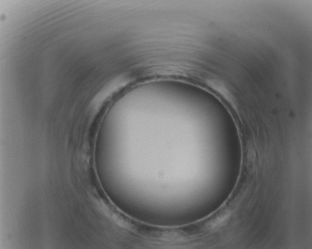 X0000062930979200601202022