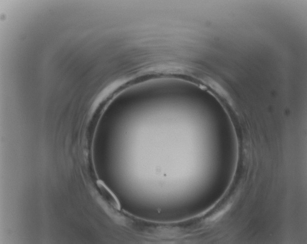 X0000062930981200601202022