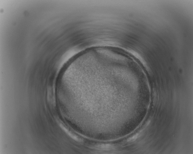 X0000062930982200601202022