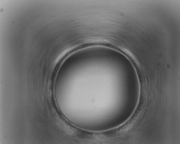 X0000062930983200601202022