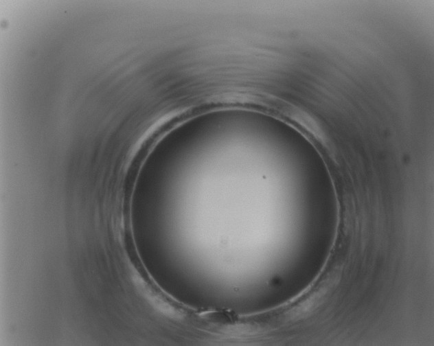 X0000062930984200601202022