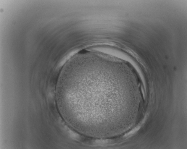 X0000062930985200601202022