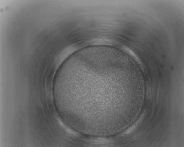 X0000062930986200601202022