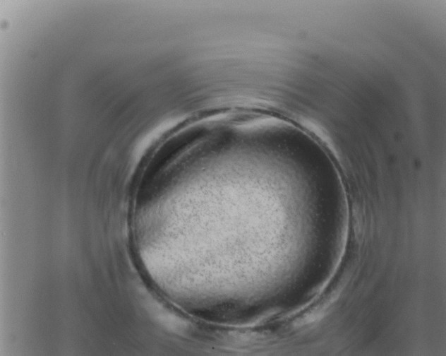 X0000062930987200601202022