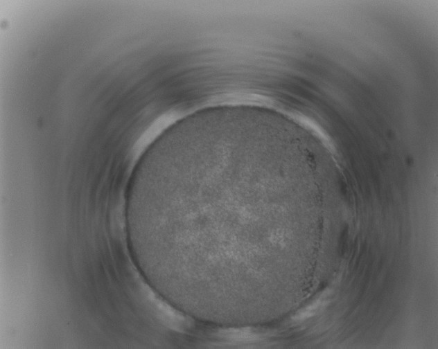 X0000062930990200601202022