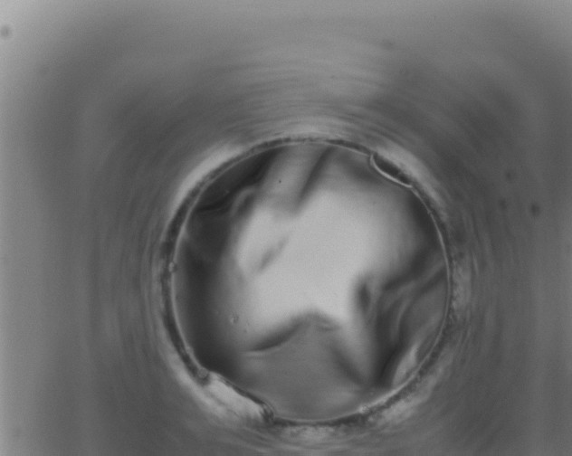 X0000062930991200601202022