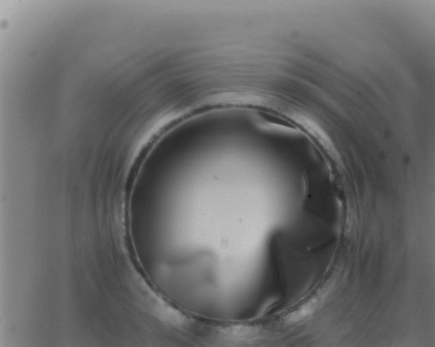 X0000062930992200601202022