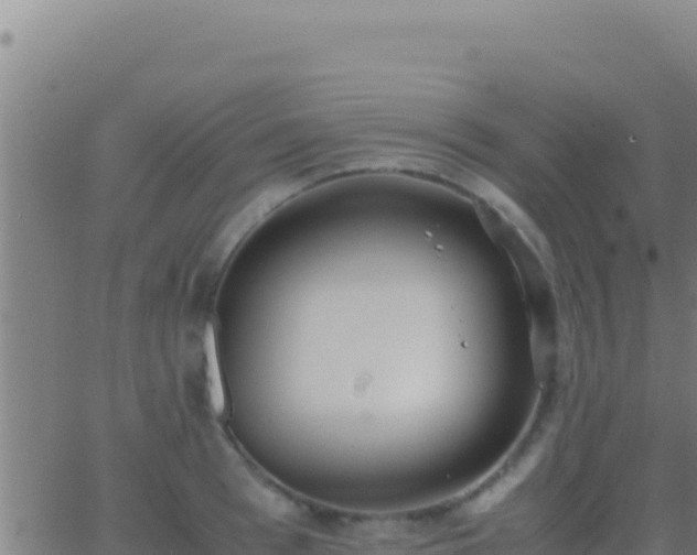 X0000062930993200601202022