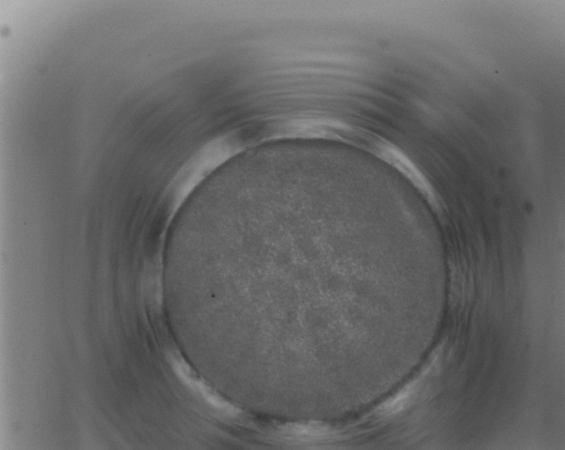 X0000062930994200601202022