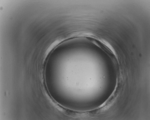 X0000062930997200601202022