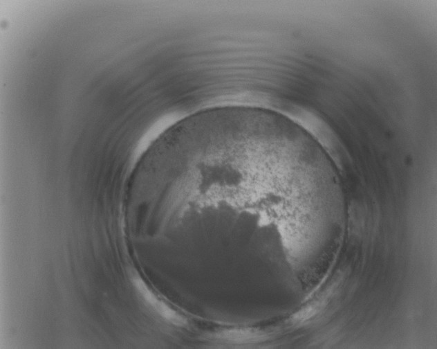 X0000062930998200601202022