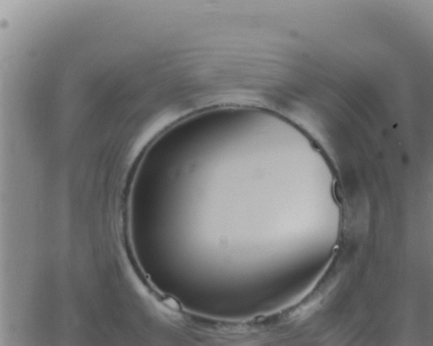 X0000062930999200601202022