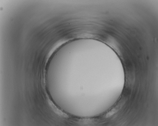 X0000062931000200601202022