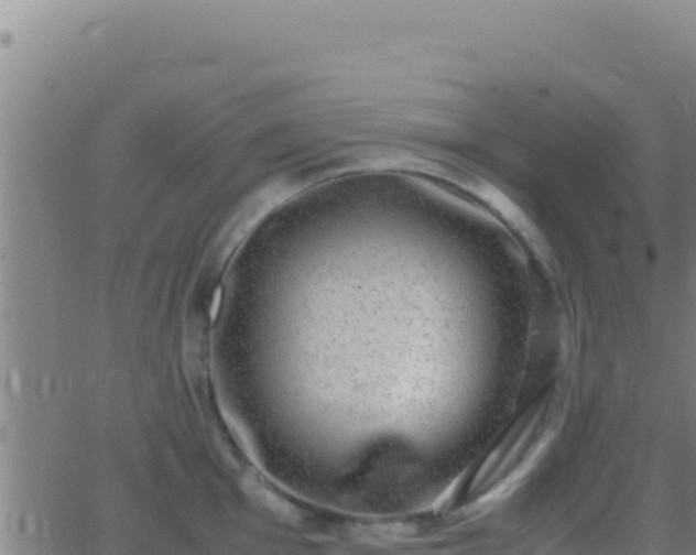 X0000062931001200601202022