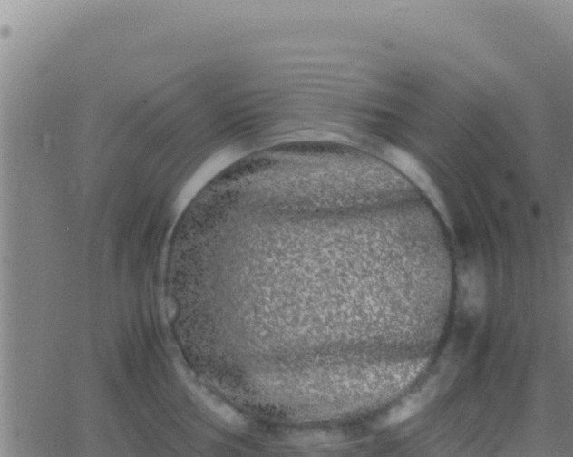 X0000062931002200601202022